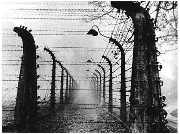 Barbed wire fences at Auschwitz-Birkenau concentration camp